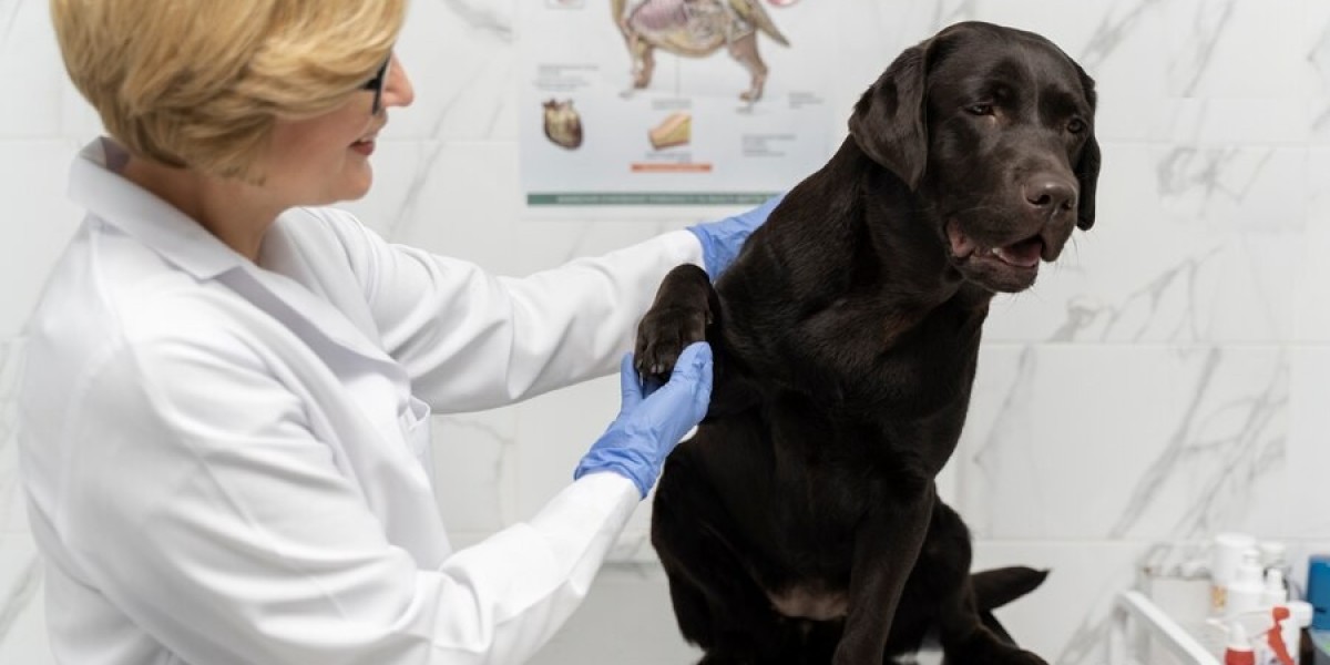 Is Fenbendazole Safe for Dogs?