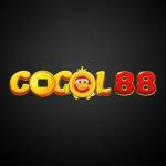 cocol88 cocol88 Profile Picture