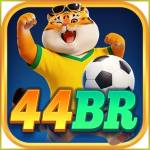 44br 44br Profile Picture