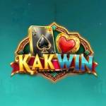 kakwin kakwin Profile Picture