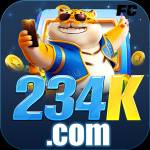 234k 234k Profile Picture