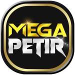 megapetir megapetir Profile Picture