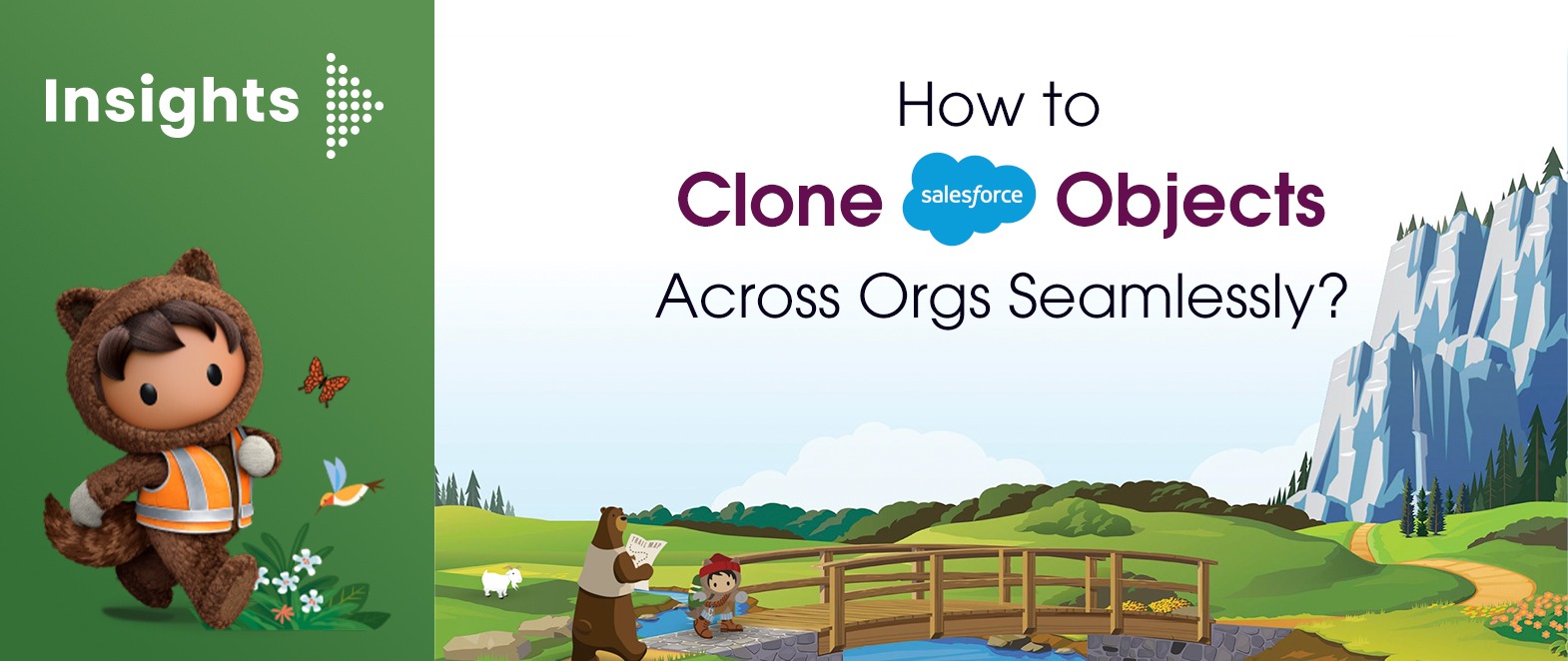 How to Clone Salesforce Objects Across Orgs Seamlessly?