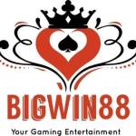 bigwin88 bigwin88 Profile Picture