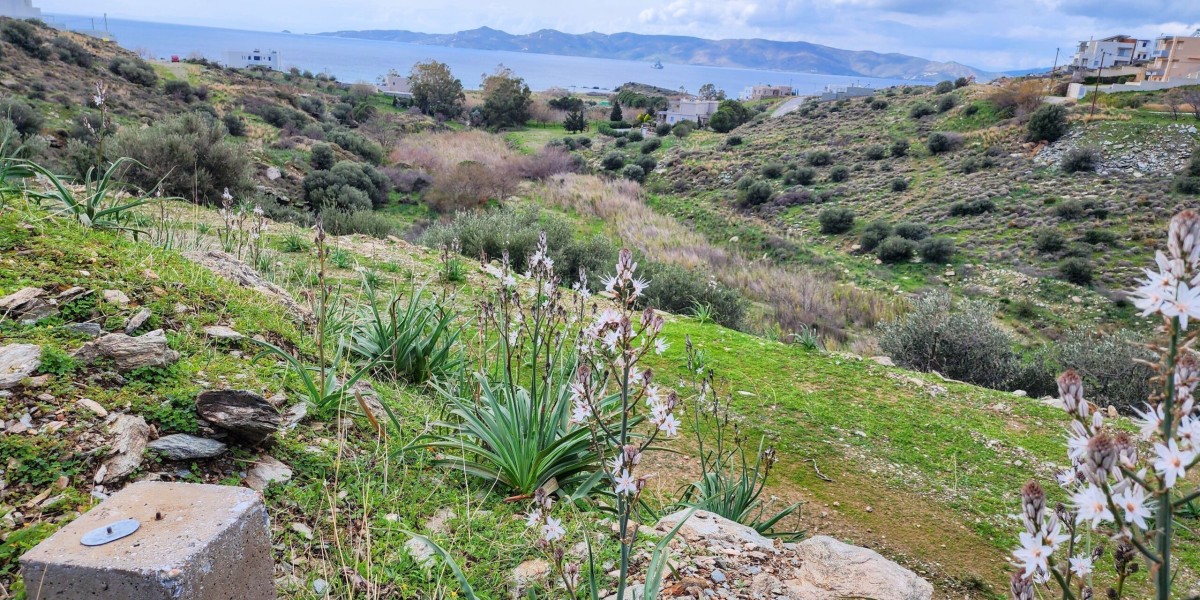How a Greece Turn-Key Villa Build(בניית וילה טרנקי ביוון)  Saves You Time, Money, and Stress