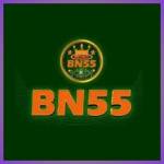 bn55 bn55 Profile Picture