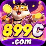899c 899c profile picture