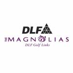 DLFMagnolias Profile Picture