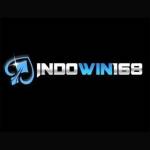indowin168 indowin168 Profile Picture