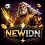 newidn newidn Profile Picture
