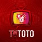 tvtoto tvtoto Profile Picture