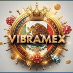 vibramex vibramex Profile Picture