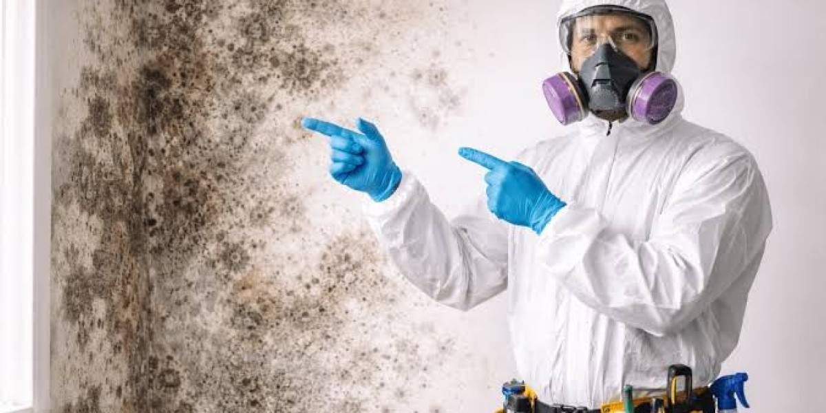 Professional Mold Remediation Services in Encino, CA