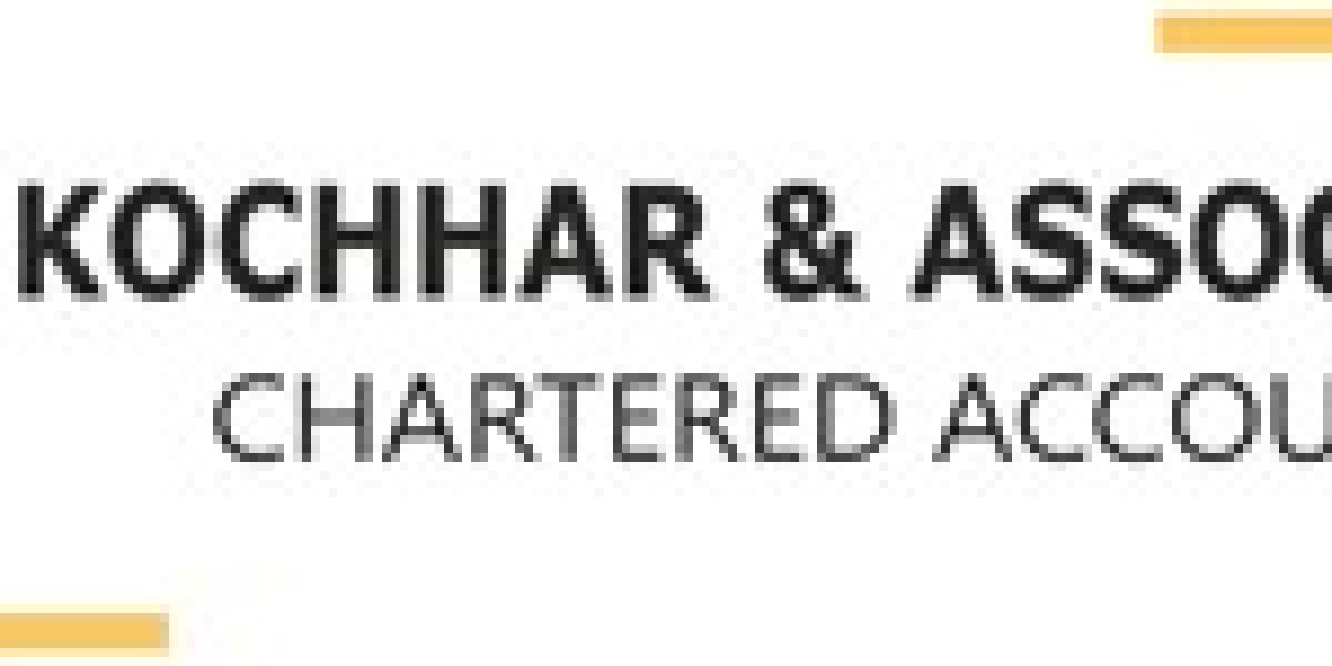 Statutory Audit for Growing Companies: Key Areas Management Should Review Before Year-End