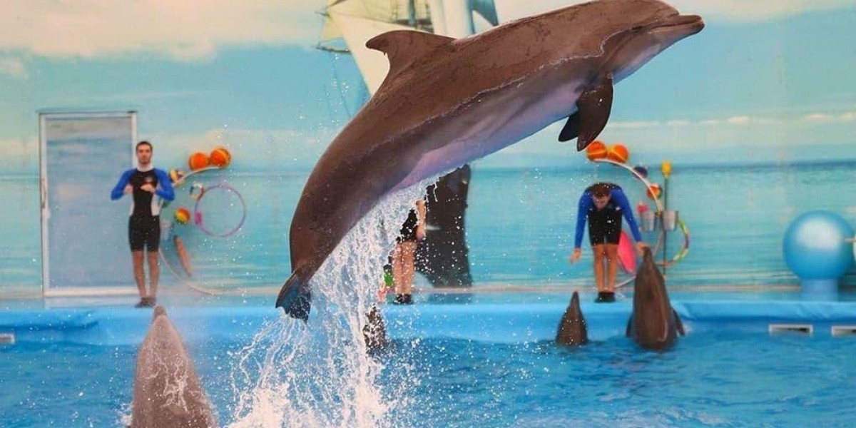 coral island pattaya