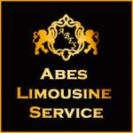 Abes limousine Service Profile Picture