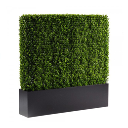 Succulent Arrangements Las Vegas for Events & Shows