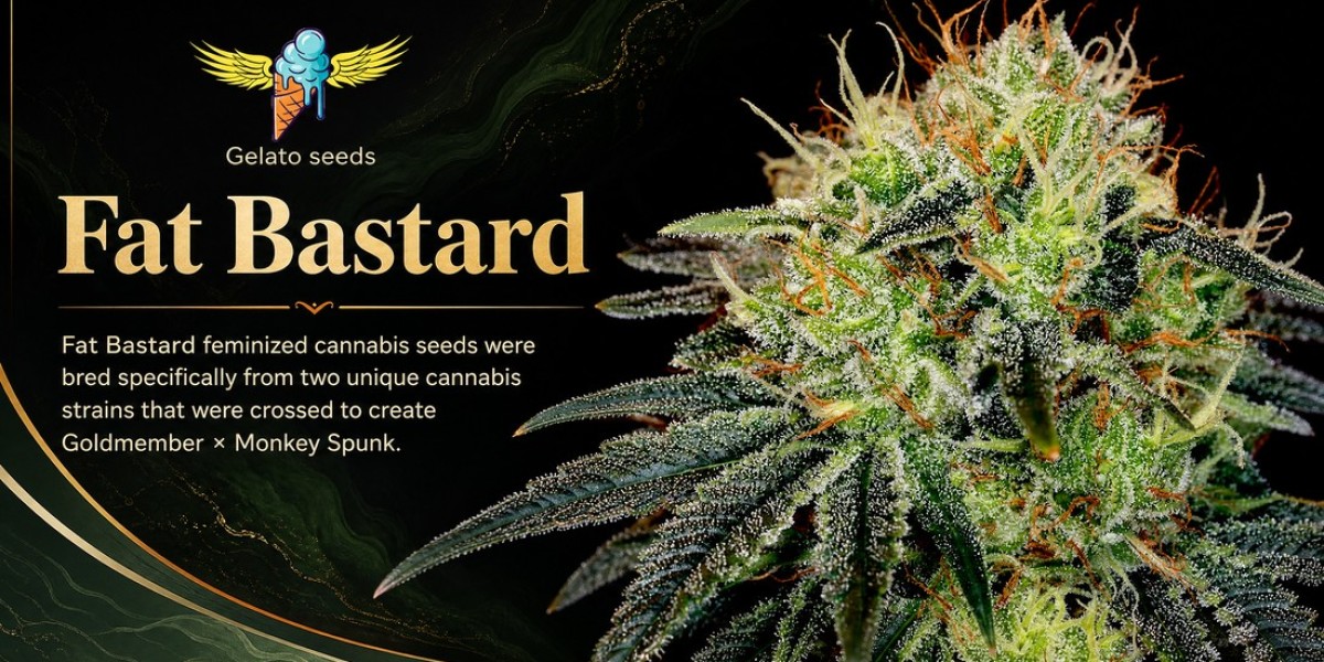 What Should You Know About Fat Bastard Cannabis Seeds Before Choosing Them?