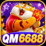 qm6688 qm6688 Profile Picture