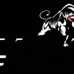 Prime Bull Profile Picture