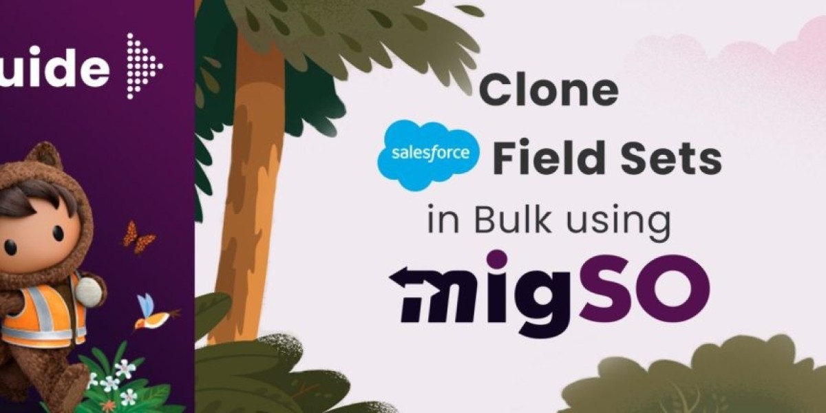 Guide to Clone Salesforce Field Sets By Using migSO