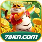 78kn 78kn Profile Picture