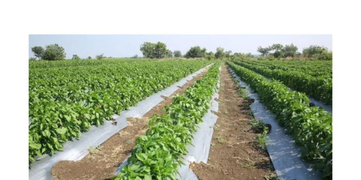 Why Mulch Film Is Useful for Modern Farming Practices