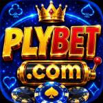 plybet plybet Profile Picture