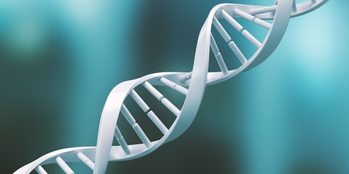 Age Shield NAD Booster US CA UK: Clarifying What’s Proven