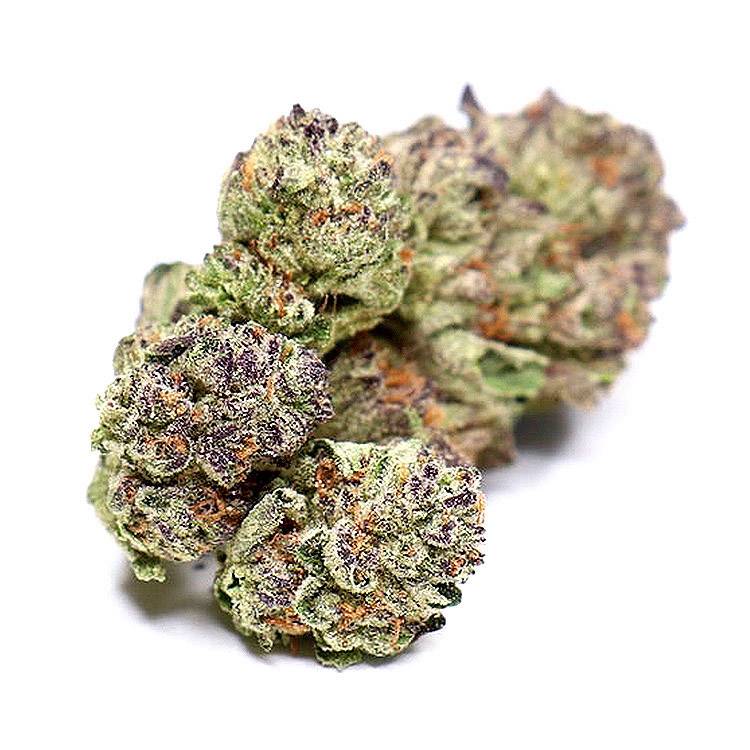 Ice Cream Cake Seeds | Premium Genetics | Gelato Seeds