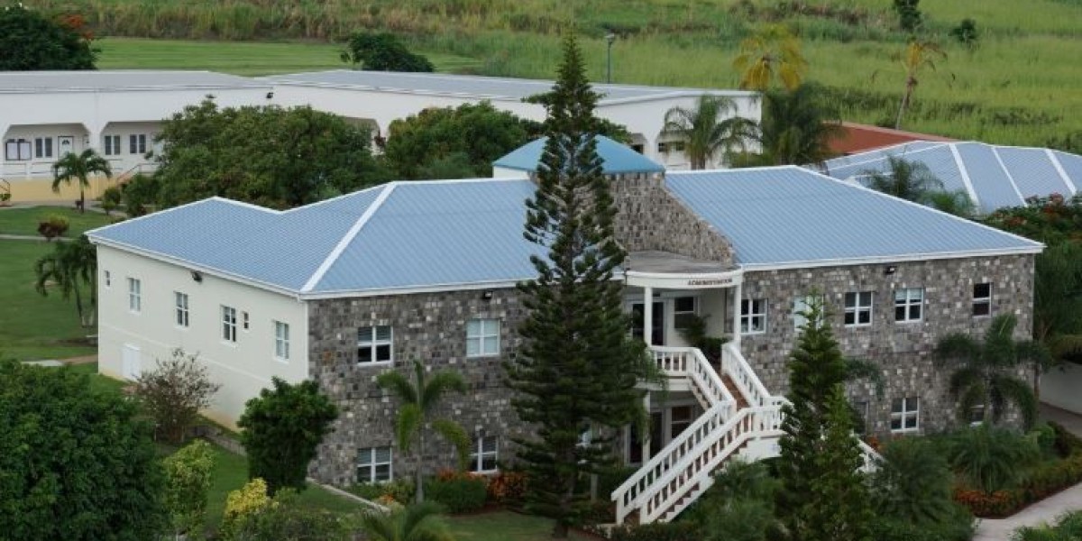 Caribbean School of Medicine: A Guide for Future Medical Students