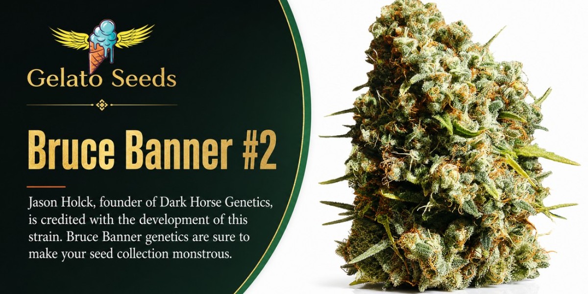 What Makes Bruce Banner #2 Seeds an Interesting Choice for High THC Genetics?