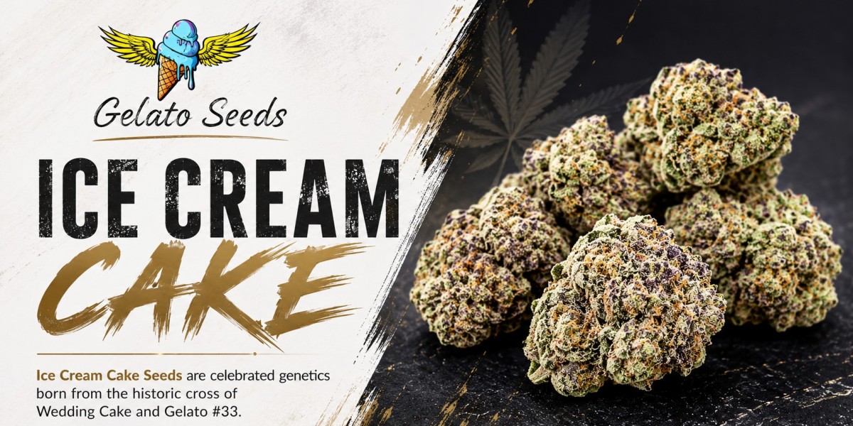 What Makes Ice Cream Cake Strain Seeds Worth Researching?