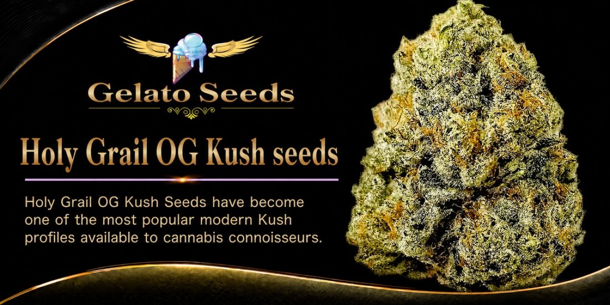 How Do Holy Grail Cannabis Seeds Fit Into Modern Hybrid Genetics?