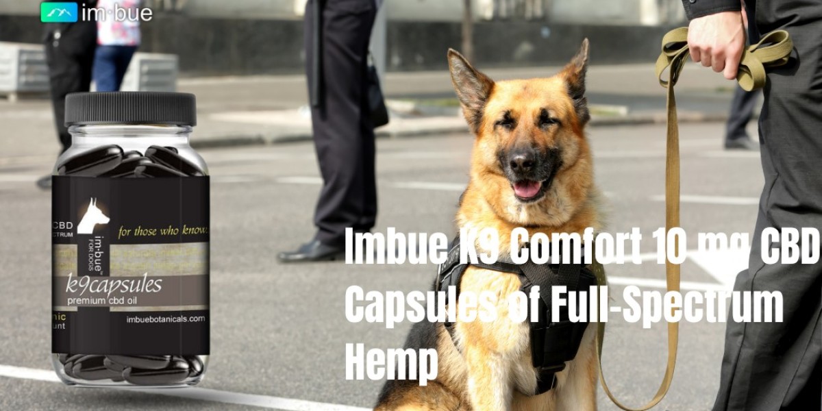 How to Compare K9 CBD Capsules for Large Dogs Before Buying Online