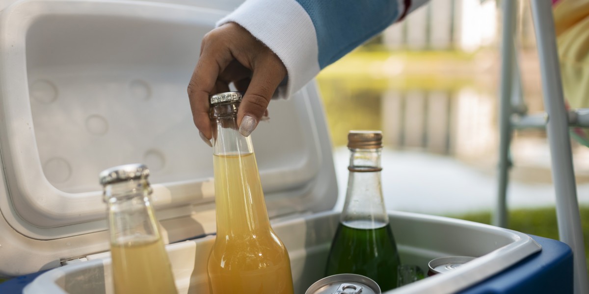 Best Portable Car Fridge For Toyota Land Cruiser
