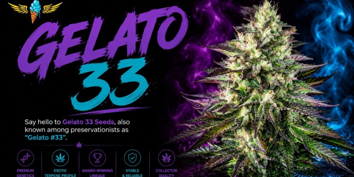 What Makes Gelato 33 Seeds Different From Other Hybrid Varieties?