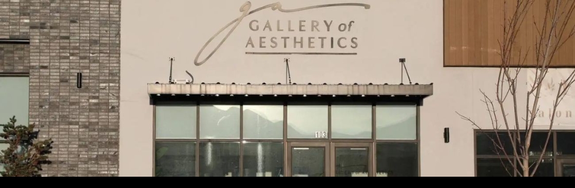 Gallery of Aesthetics Cover Image