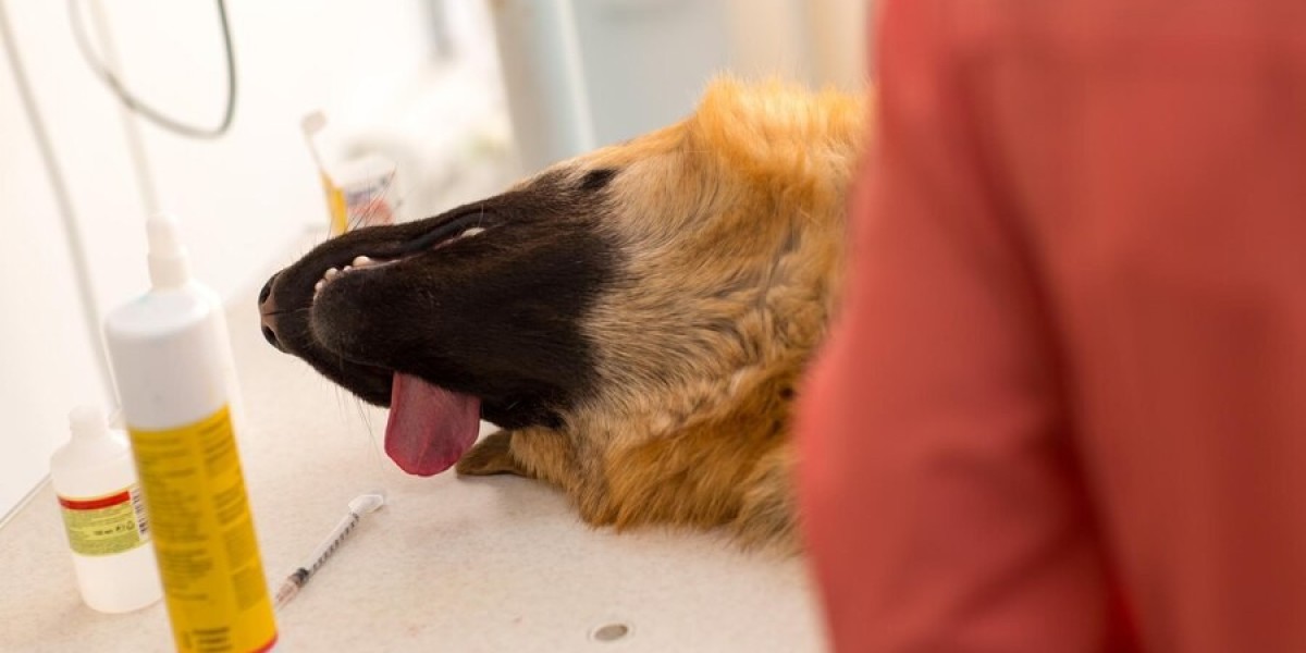 How Does Fenbendazole Work on Dogs?