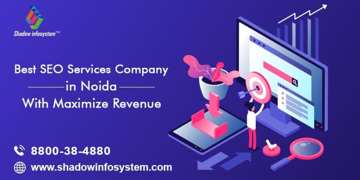 Best SEO Services Company in Noida | Shadow infosystem