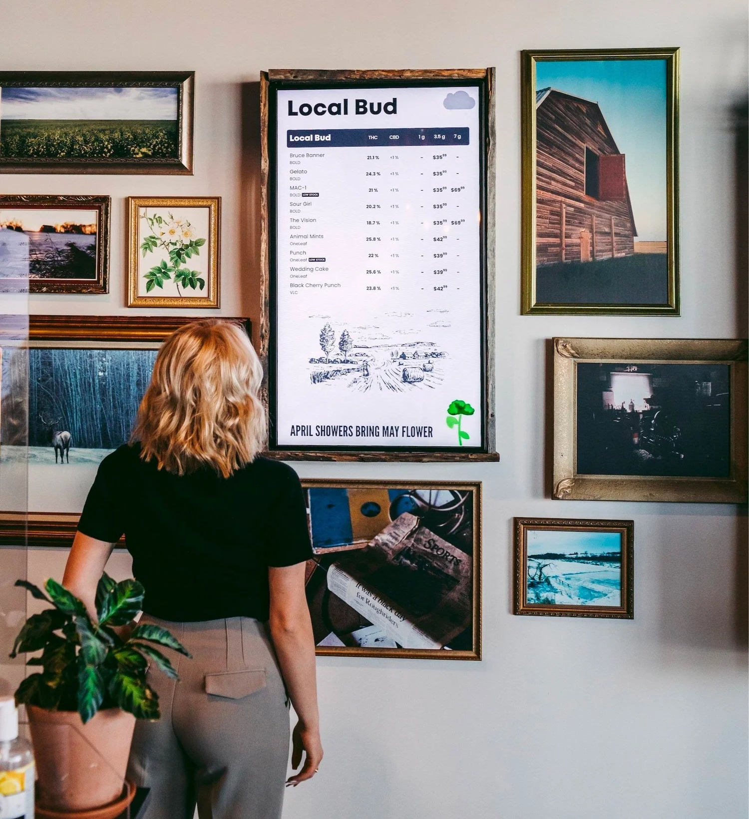 BudSense Digital Cannabis Menus for Dispensary TVs