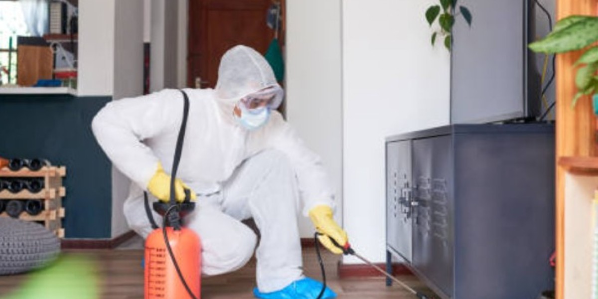How to Keep Pests Out of Your Perth Home During Hot Weather