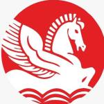 Singhal Industries Profile Picture