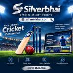 silverbhai178 Profile Picture