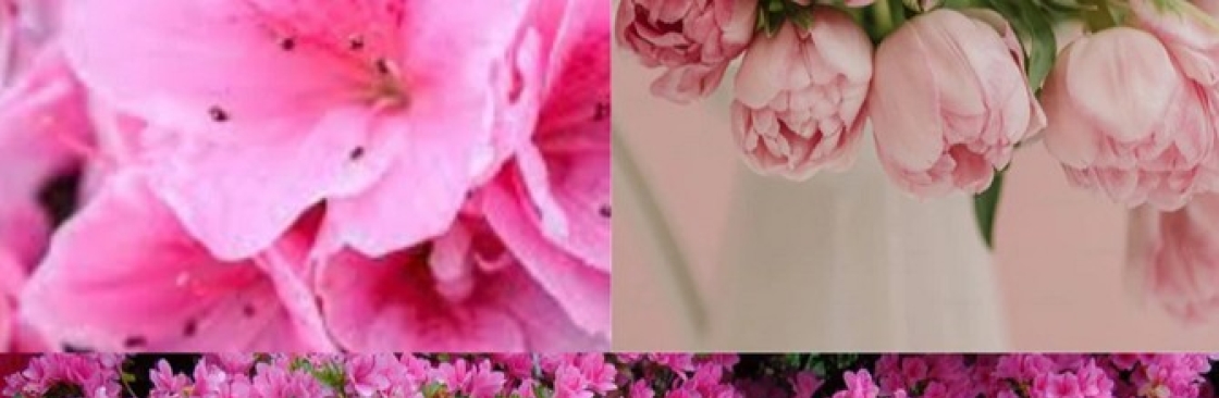Online Plants Cover Image