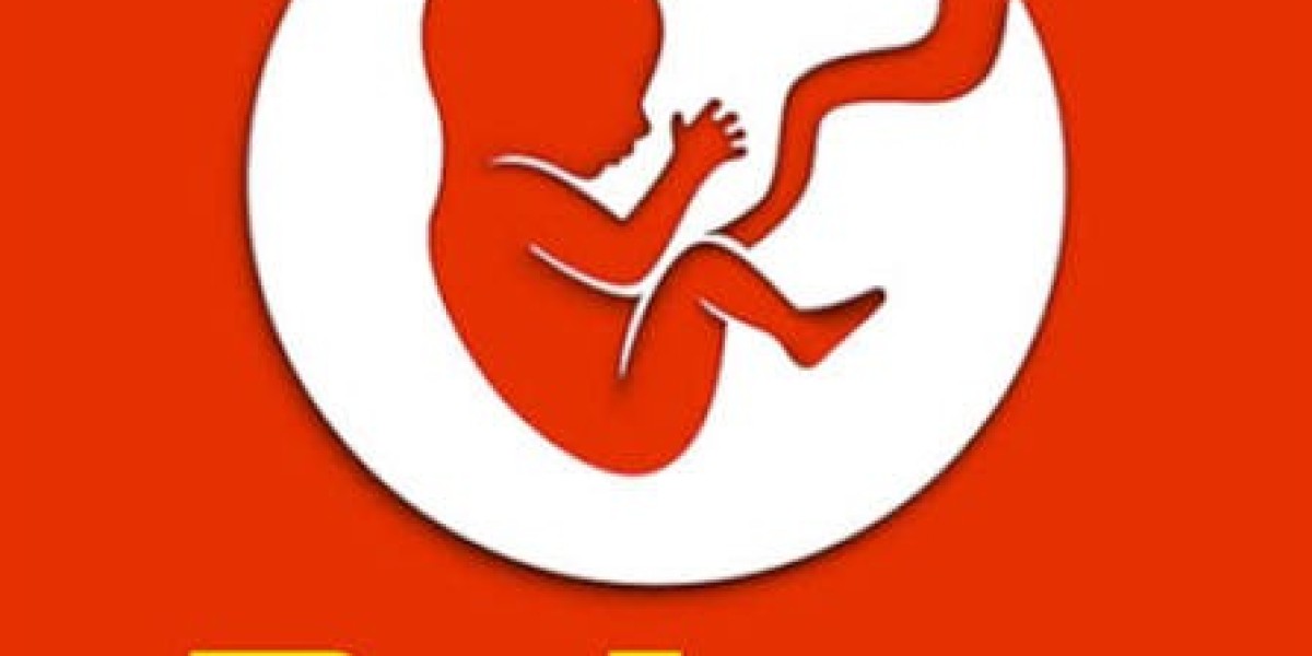 Living a Digital Life: A Beginner's Guide to Bitlife