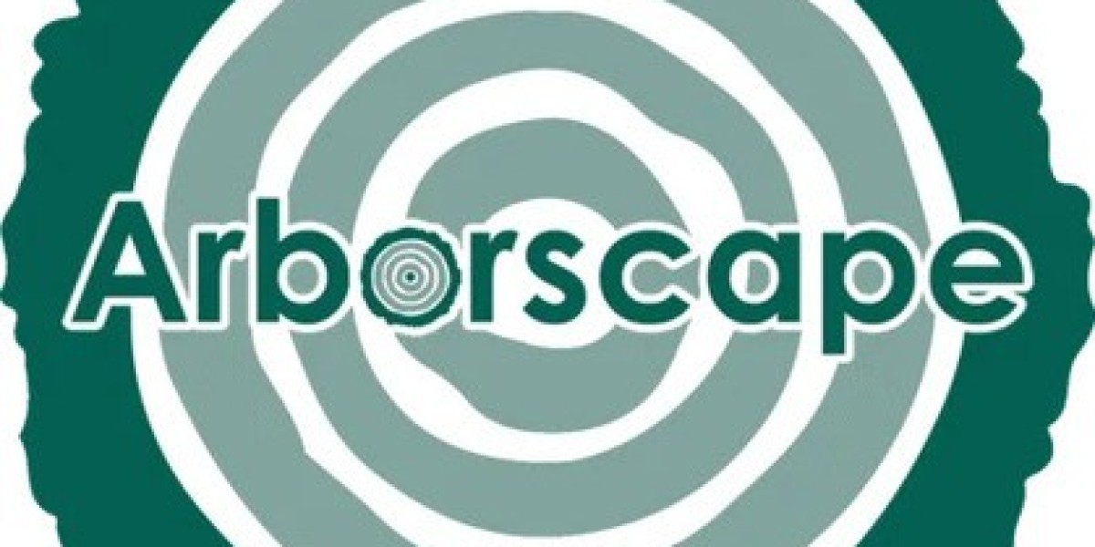 Tree Surgeon Cumbria: A Complete Guide to Professional Tree Care