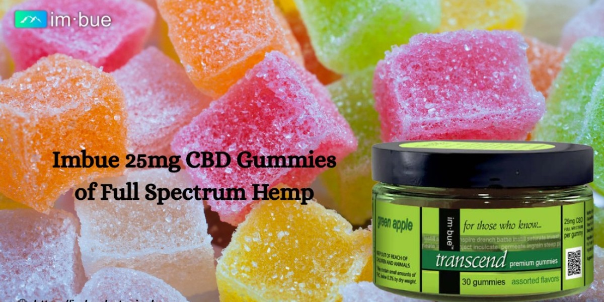 Why CBD Gummies for Daily Wellness Are Gaining Consumer Interest